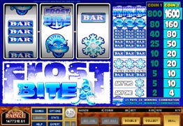 Frost Bite Slot Screenshot